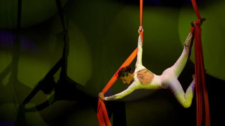 MarcePucci_0003_telas3